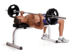 Силовая скамья: виды и применение